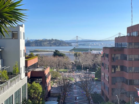 Filbert Steps by null