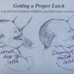 Labor of Love Birth Classes - Breastfeeding success is taught!