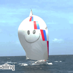 Y Sailing