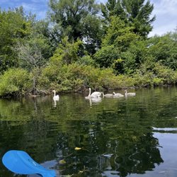 Toronto Island SUP