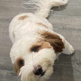 See him smiling after a recent groom See him smiling after a recent groom