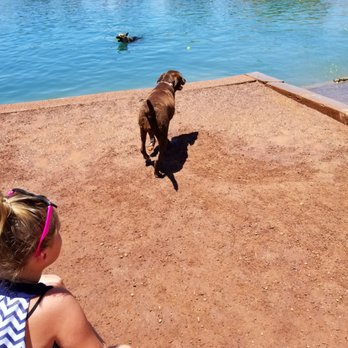 Crossroads Park - I love taking our puppy here. Very clean with lots of friendly dogs - Dog Parks Near Me - Gilbert, Arizona Crossroads Park - I love taking our puppy here. Very clean with lots of friendly dogs - Dog Parks Near Me - Gilbert, Arizona