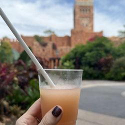 Citrus slushie