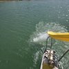 Lake Murray Water Sports & Mini Golf gift card