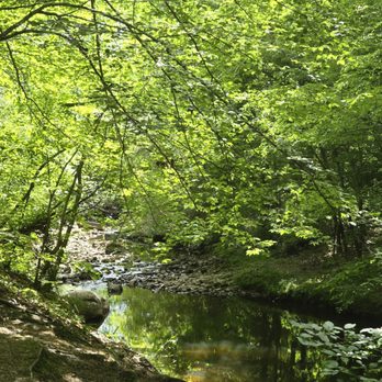 Forest Hill Park - Parks Near Me - Richmond, Virginia Forest Hill Park - Parks Near Me - Richmond, Virginia