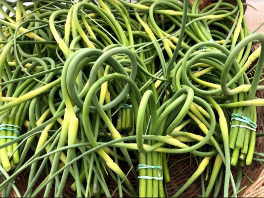 Montavilla Farmers Market by null