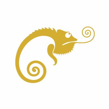 Chameleon Cleaning - Pressure Washers Near Me Chameleon Cleaning - Pressure Washers Near Me