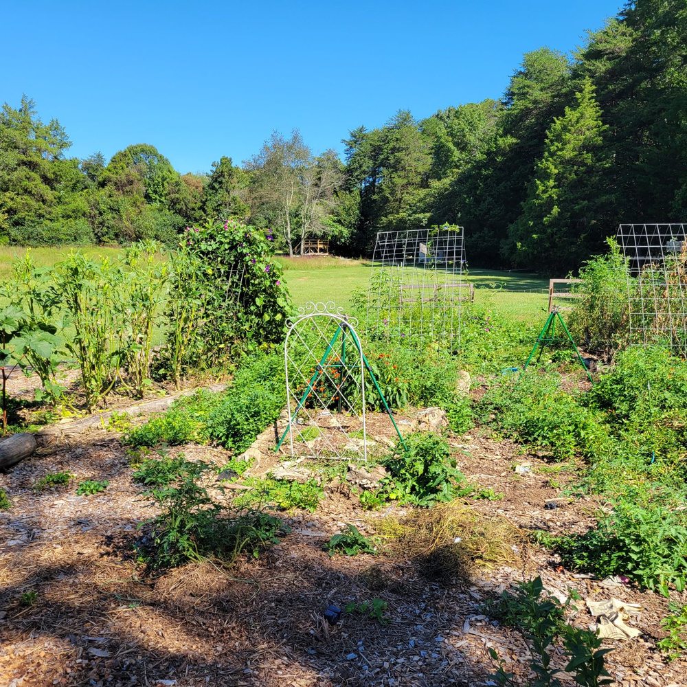 Coop and Creek - The Garden - Attraction Farms Near Me - High Point, North Carolina