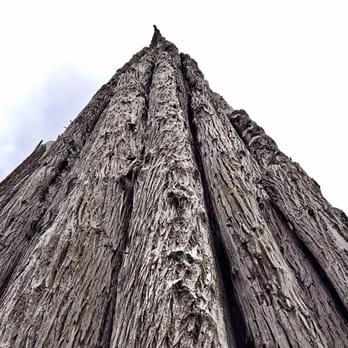 Andy Goldsworthy's Spire - Up close and personal from the East Sideeee! - Hiking Near Me Andy Goldsworthy's Spire - Up close and personal from the East Sideeee! - Hiking Near Me