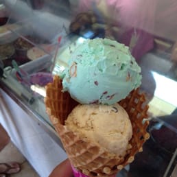 Mint Chocolate Chip