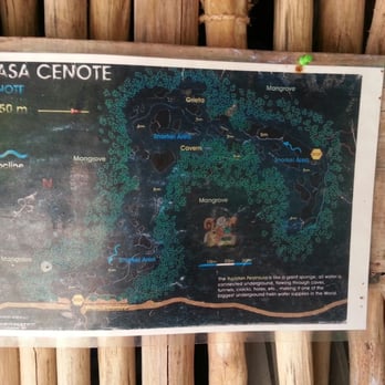 Diving Cenotes Tulum - Casa Cenote - Scuba Diving Near Me - Tulum, ROO