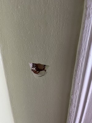 Inn on St Peter by null