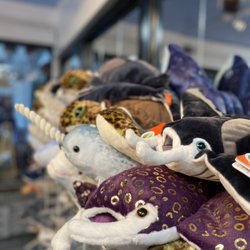 Kona Square Gifts - Manta Rays and Green Sea Turtles!
