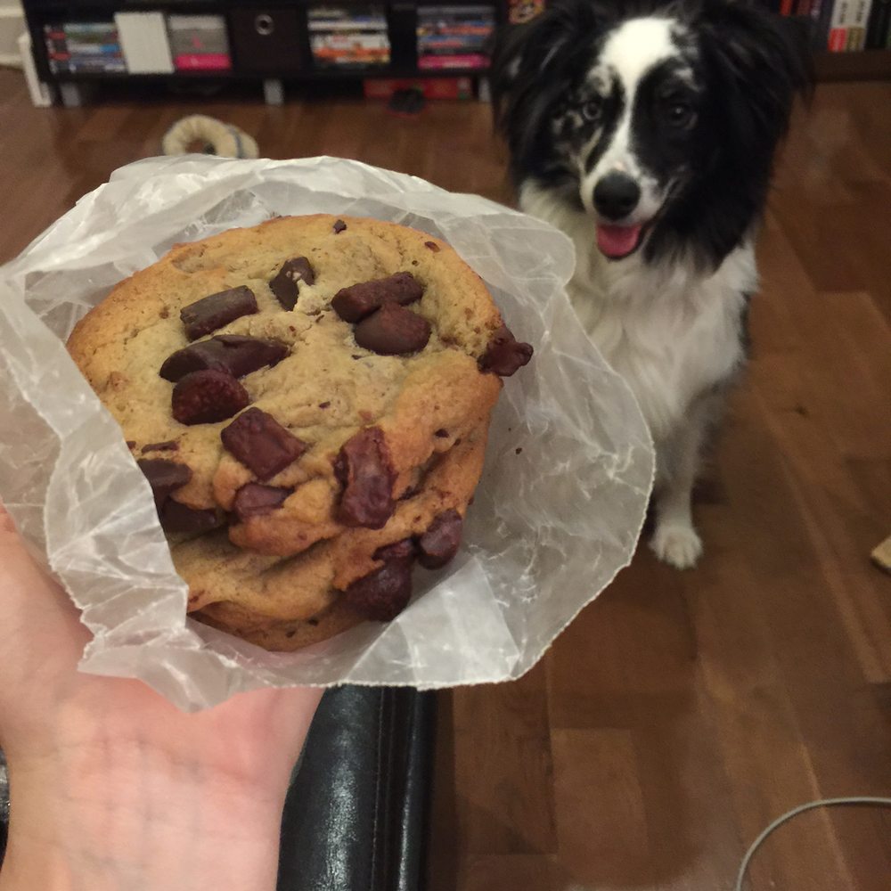 ClusterTruck - Replacement cookies after #ReytheDog demolished our first pack... - Food Delivery Services Near Me - Indianapolis, Indiana ClusterTruck - Replacement cookies after #ReytheDog demolished our first pack... - Food Delivery Services Near Me - Indianapolis, Indiana
