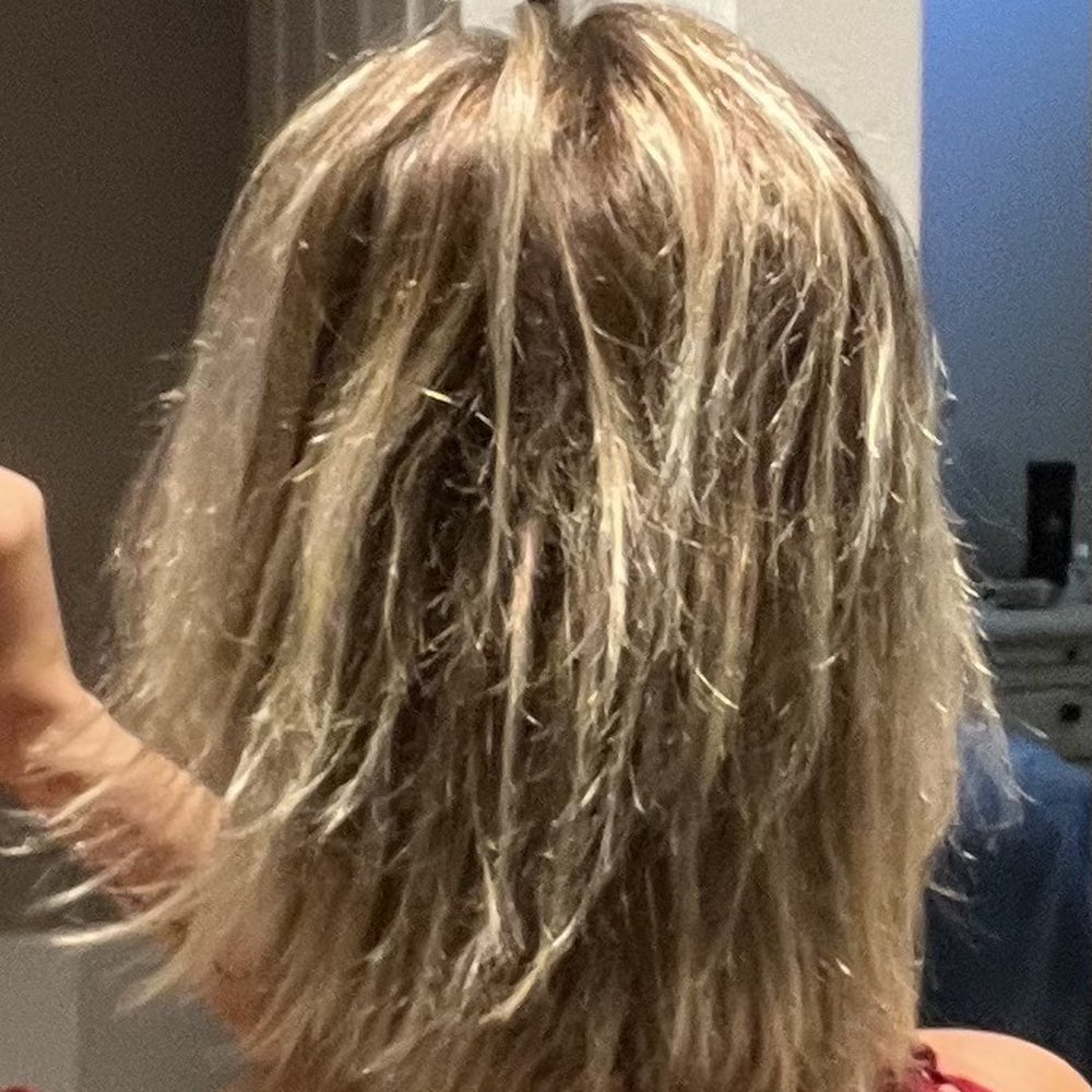 Pucci Salon - BREAKAGE, POOR CUTTING SKILLS Uneven and chopped up - Hair Salons Near Me - Scottsdale, Arizona Pucci Salon - BREAKAGE, POOR CUTTING SKILLS Uneven and chopped up - Hair Salons Near Me - Scottsdale, Arizona