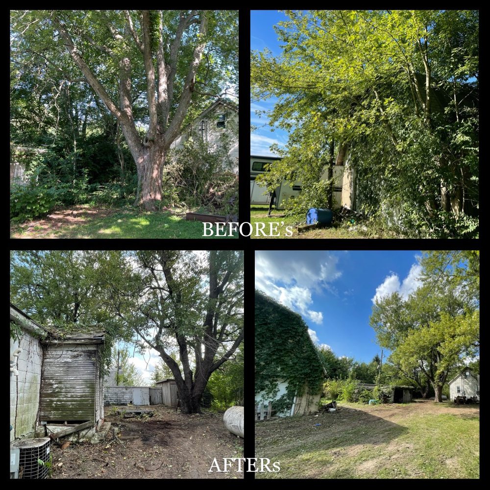 Fischer Tree & Stump Removal - tree service in Morton, IL