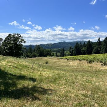 J L Kiff Vineyard - View - Wine Tasting Room Near Me - McMinnville, Oregon J L Kiff Vineyard - View - Wine Tasting Room Near Me - McMinnville, Oregon