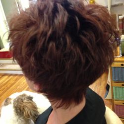 Hair Root 22