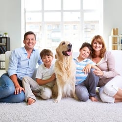 Vision Flooring - Carpet for Life. Shaw's Life Happening carpet can hold up to your families life, dogs, kids, messy husbands. Bring It On.  The carpet 4 U.