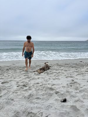 Carmel Beach by null