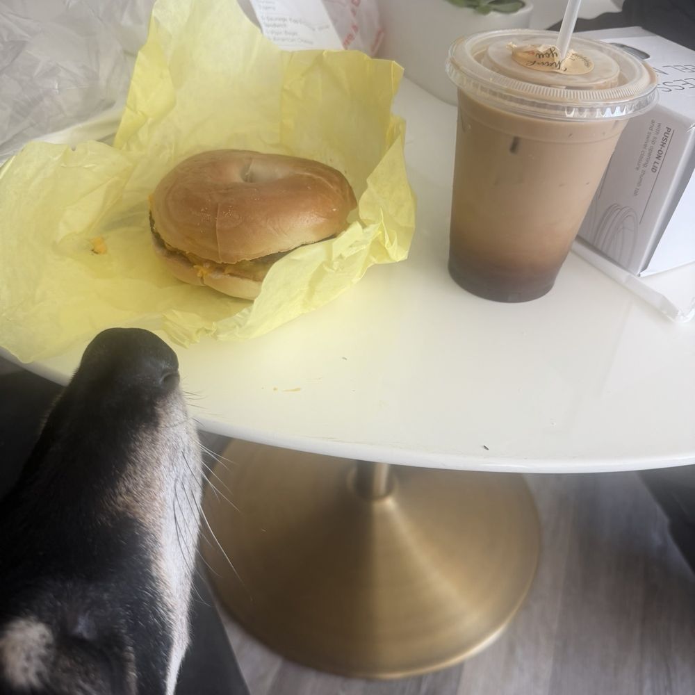 Sam’s Bakery - Sausage egg and cheese sandwich, and a Vietnamese iced coffee. - Coffee & Tea Near Me - San Francisco, California Sam’s Bakery - Sausage egg and cheese sandwich, and a Vietnamese iced coffee. - Coffee & Tea Near Me - San Francisco, California