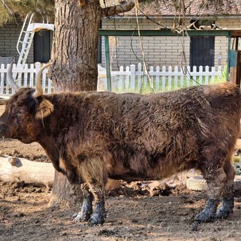 Carl's Damaged Pet Warehouse - Petting Zoos Near Me - Gilbert, Arizona