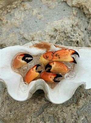 George Stone Crab by null