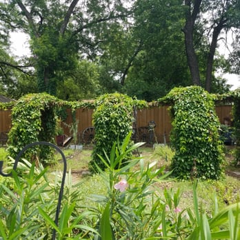 Garden Cafe - Breakfast & Brunch Near Me - Dallas, Texas Garden Cafe - Breakfast & Brunch Near Me - Dallas, Texas