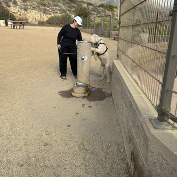 Trancas Canyon Park - Dausy getting a drink of water... - Dog Parks Near Me - Malibu, California Trancas Canyon Park - Dausy getting a drink of water... - Dog Parks Near Me - Malibu, California