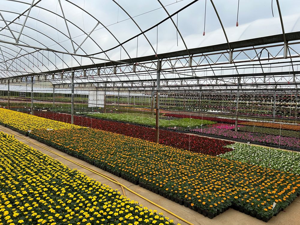 POWELL PLANTS in 22077 US Hwy 79E, New Summerfield, Texas Updated