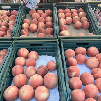 ベレッサ4　テトハハサマ Arrma Vendetta 3S BLX Brushless 1/8 RTR Electric 4WD Speed Bash