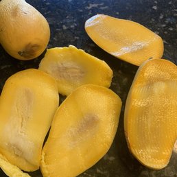 The mangoes they yelled at my dad for trying to return The mangoes they yelled at my dad for trying to return