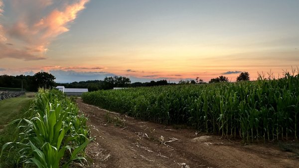 Antietam National Battlefield by null