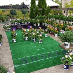 Wakefield Valley Nursery