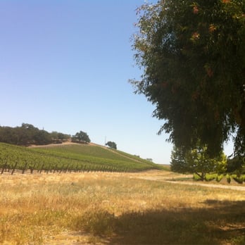 L'Aventure Winery - Gorgeous.. - Wineries Near Me - Paso Robles, California L'Aventure Winery - Gorgeous.. - Wineries Near Me - Paso Robles, California