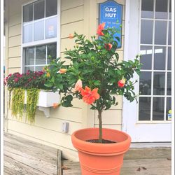 Garrett's Marina & Boat Sales - Gas Hut