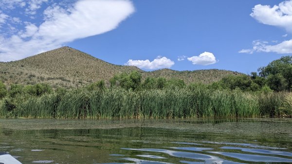 Patagonia Lake State Park by null