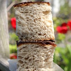 user provided Iggy's Bread photo