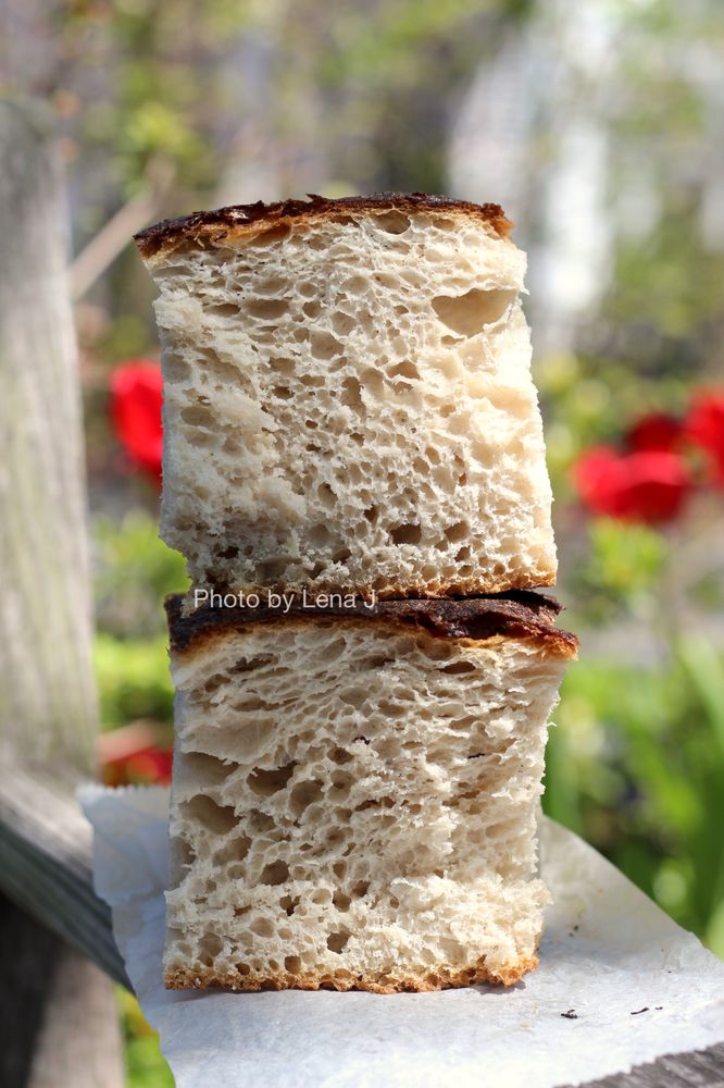 IGGY’S BREAD Updated September 2024 137 Photos & 273 Reviews 130