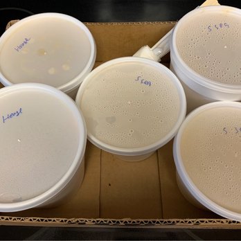 Rai Rai Ramen - The entire tray here was super light and it costs me just under $30!!! - Ramen Near Me - Kailua, Hawaii Rai Rai Ramen - The entire tray here was super light and it costs me just under $30!!! - Ramen Near Me - Kailua, Hawaii