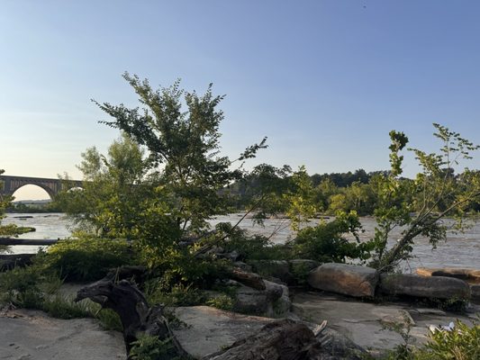 RVA Paddlesports by null