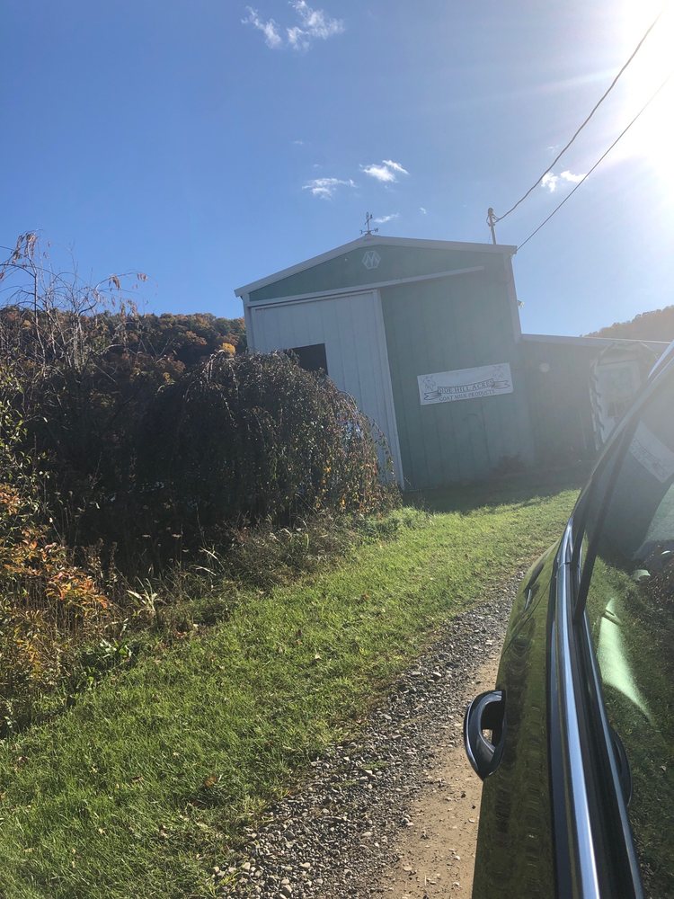 SIDE HILL ACRES 79 Spencer Rd, Candor, New York Farms Phone