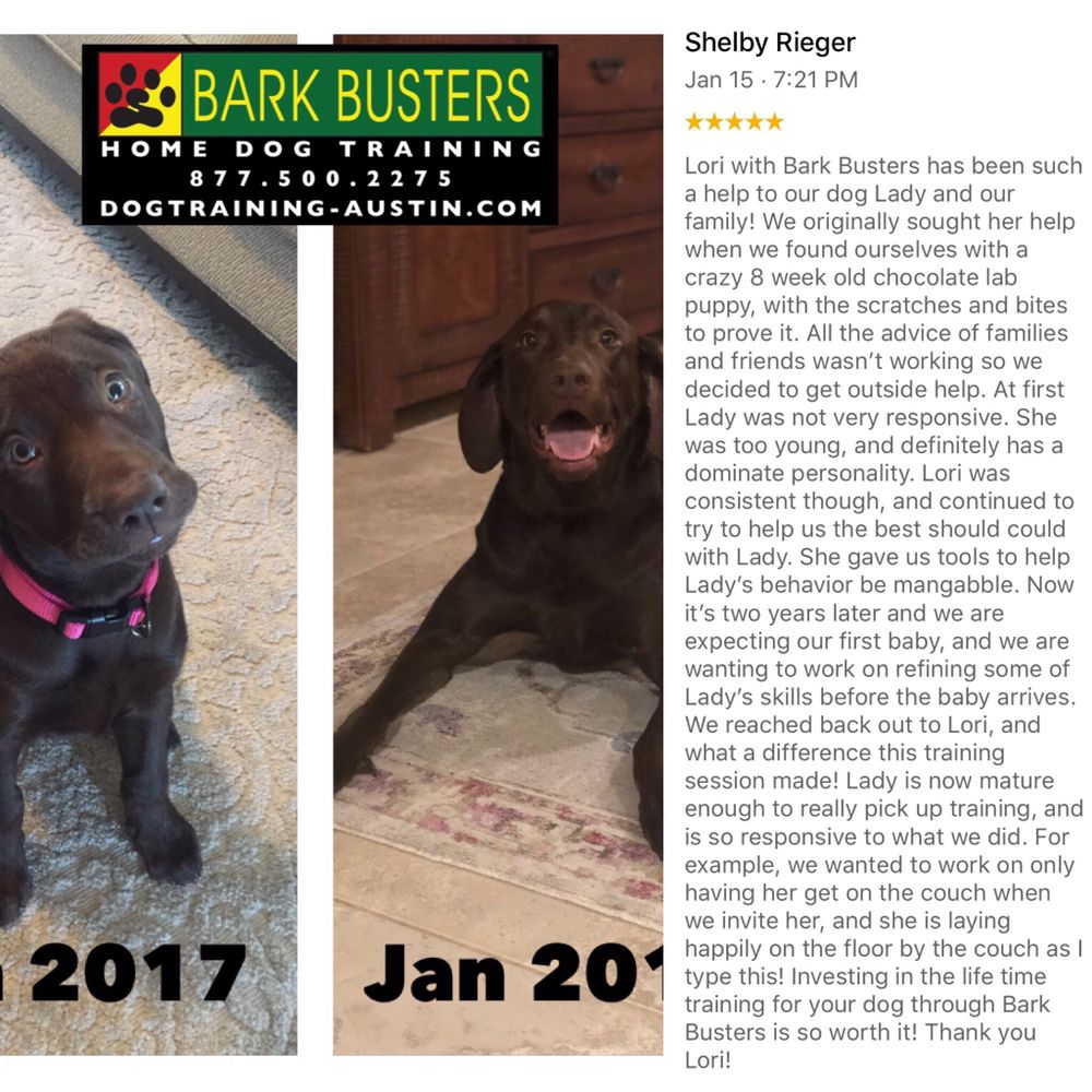 BARK BUSTERS HOME DOG TRAINING AUSTIN WEST 253 Photos & 15 Reviews