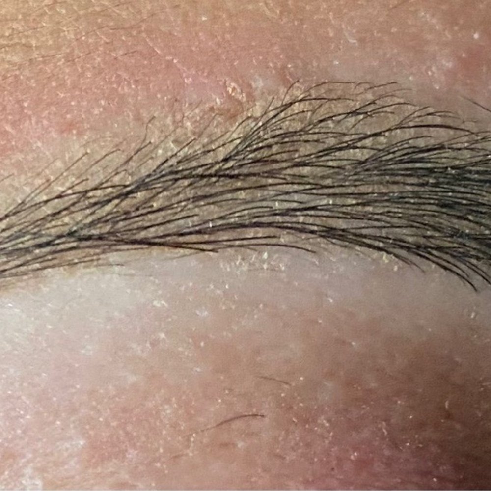 Eyebrow