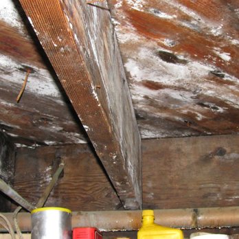 Mold Growing On A Basement Ceiling From A Bathroom Shower Leak In