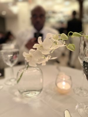 Mr Chow by null