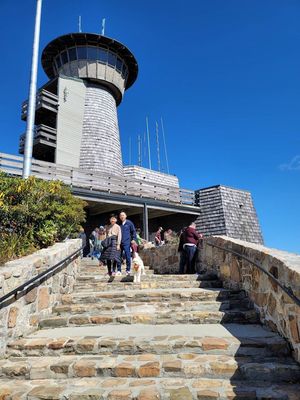 Brasstown Bald by null