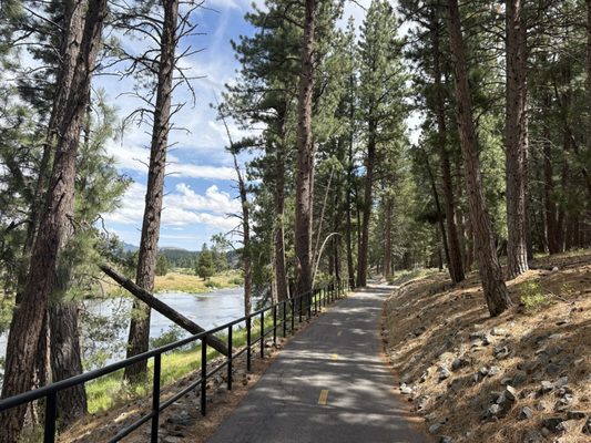 Bike Truckee by null