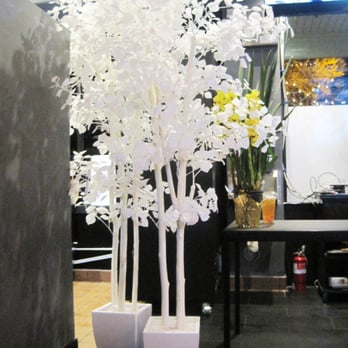 Pekoe - White Winter Trees - Coffee & Tea Near Me - San Jose, California