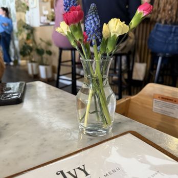 Ivy Café - Coffee & Tea Near Me - Clayton, Missouri Ivy Café - Coffee & Tea Near Me - Clayton, Missouri